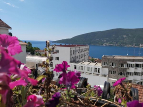 Apartman Jelena